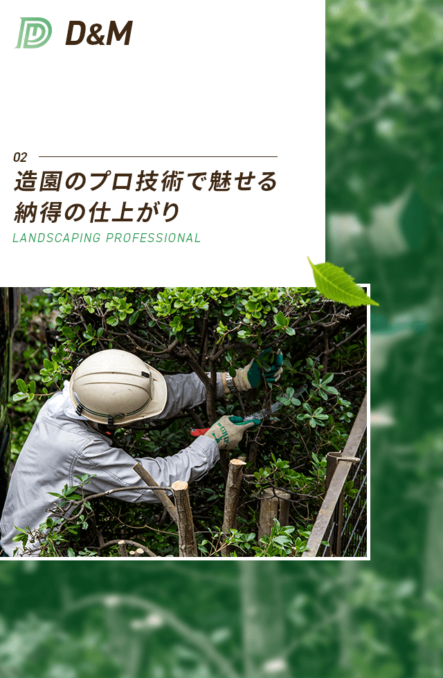 造園のプロ技術で魅せる納得の仕上がり